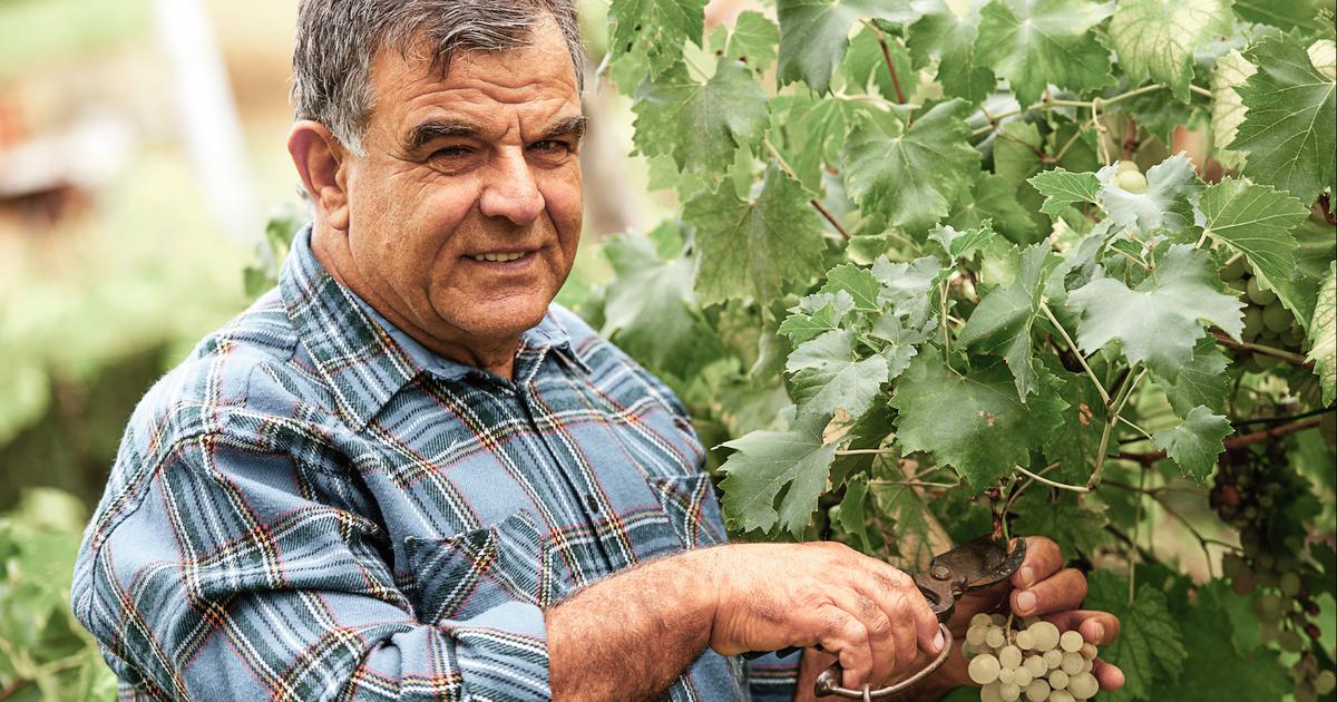 La parabole des mauvais vignerons