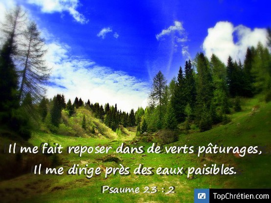 Psaume 23:2