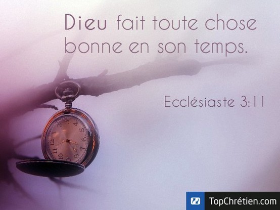 Ecclésiaste 3:11