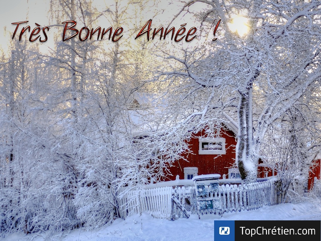 Très bonne Année