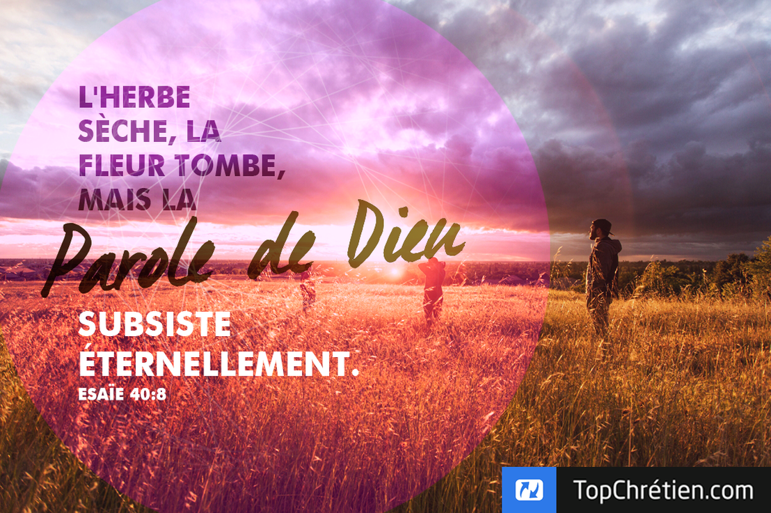 Confiance
