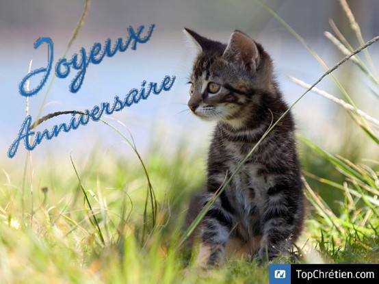 anniversaire