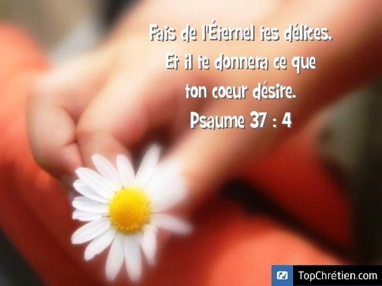 Psaume 37:4