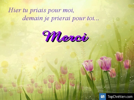 merci