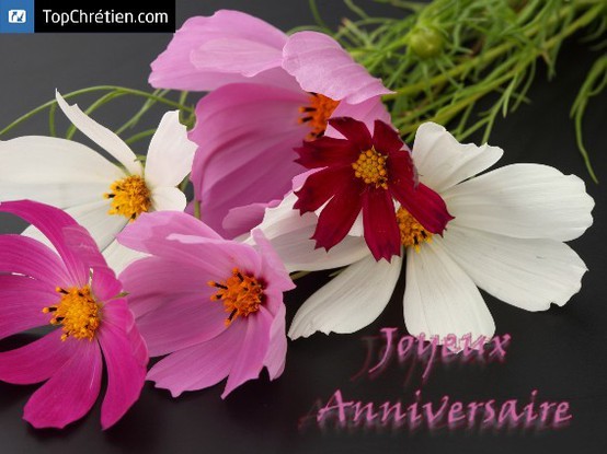 anniversaire