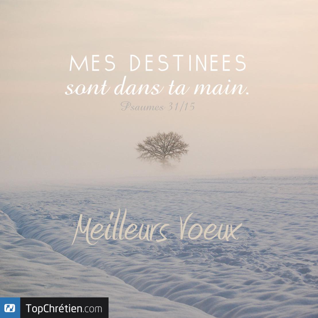 Meilleurs voeux