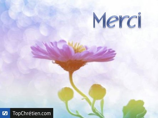 Merci