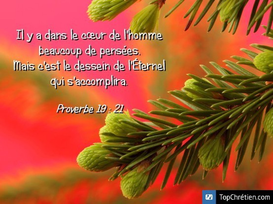 Proverbe 19:21