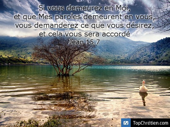 Jean 15:7