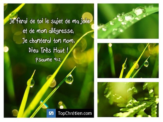 Psaume 9:2