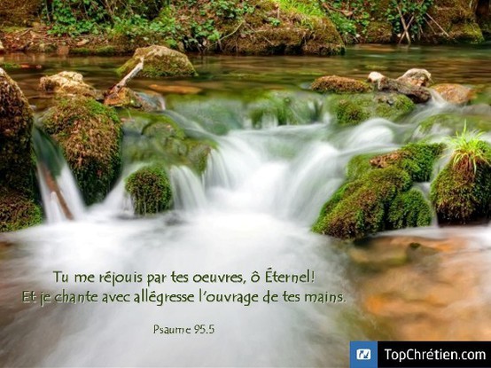 Psaume 95:5