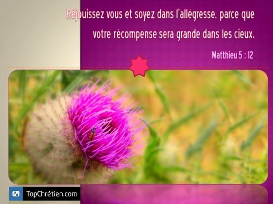 matthieu 5:12