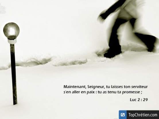Luc 2 : 29