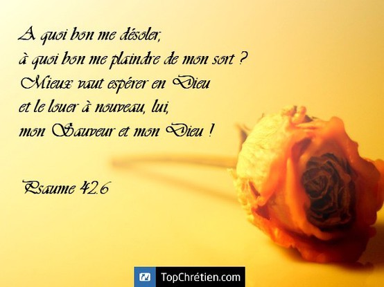 Psaume 42:6