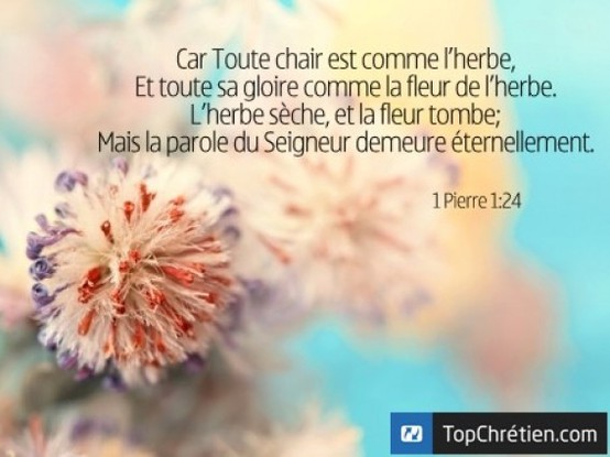 1 Pierre 1:24