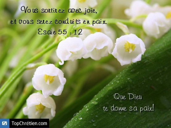 Esaie 55:12