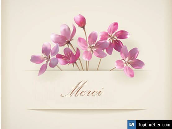 Merci