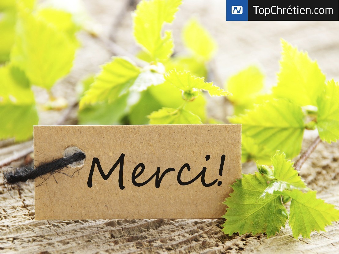 Merci