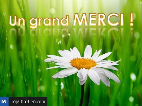 Un grand MERCI