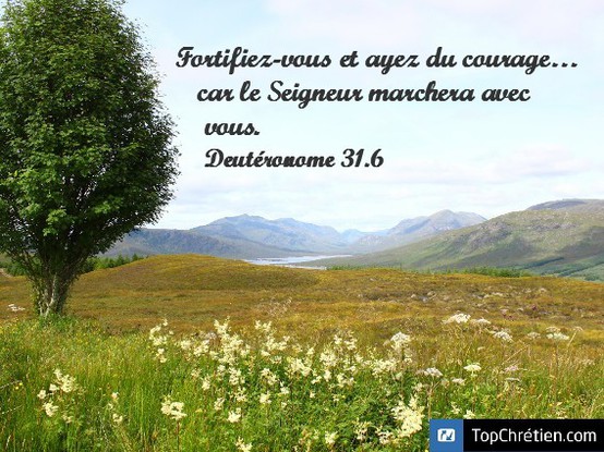 Deutéronome 31:6