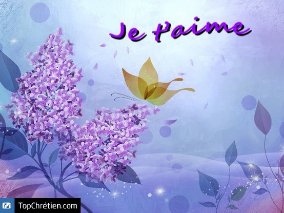 je t'aime