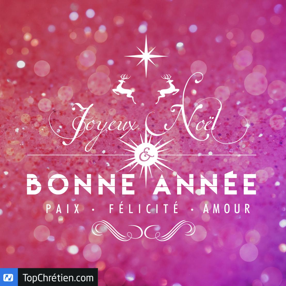 Joyeux Noël et Bonne Année