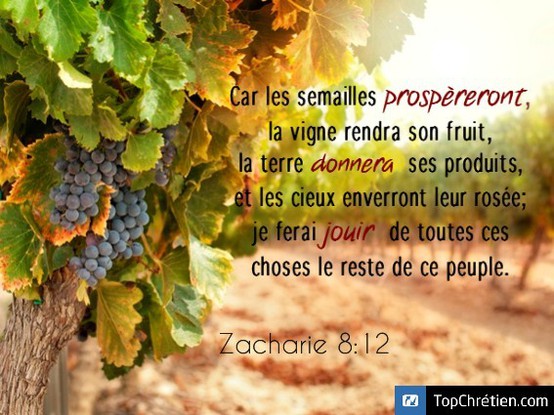 Zacharie 8:12