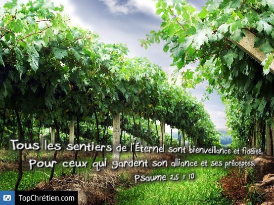 Psaume 25:10