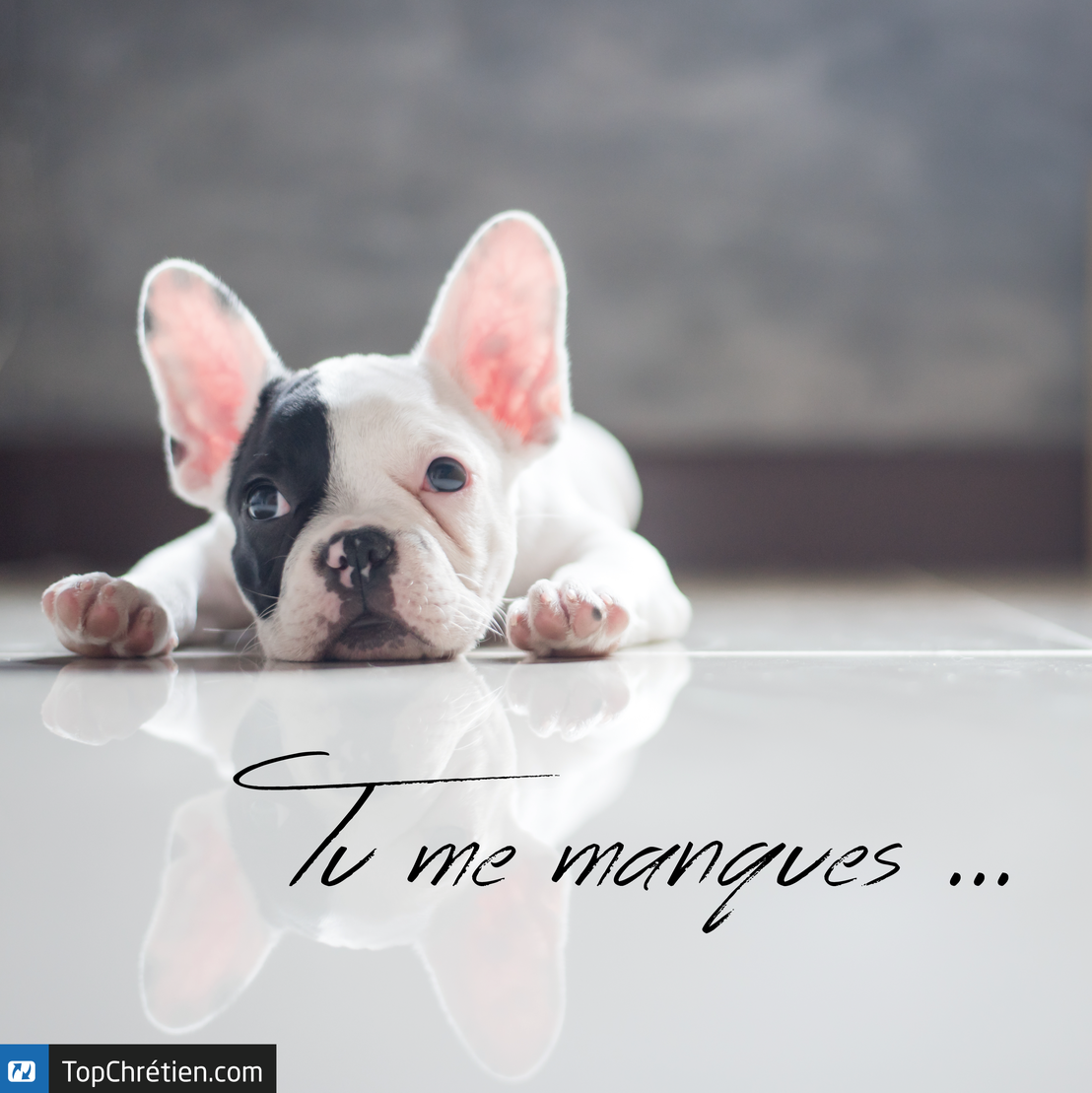 Tu me manques