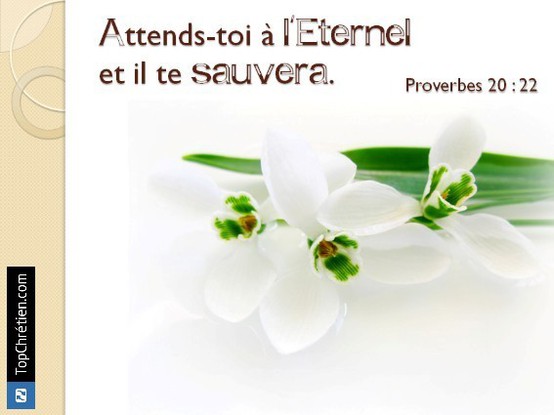 Proverbes 20:22