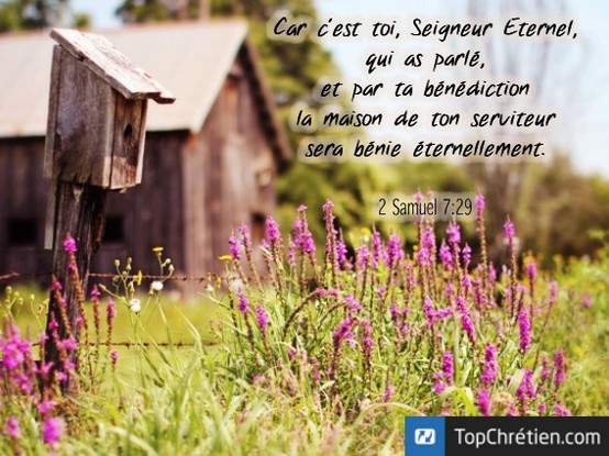 2 samuel 7:29