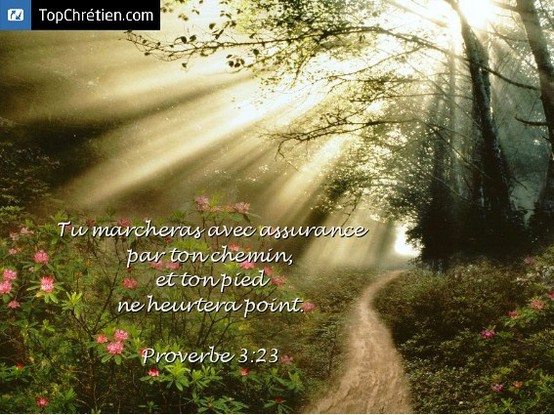 Proverbe 3:23