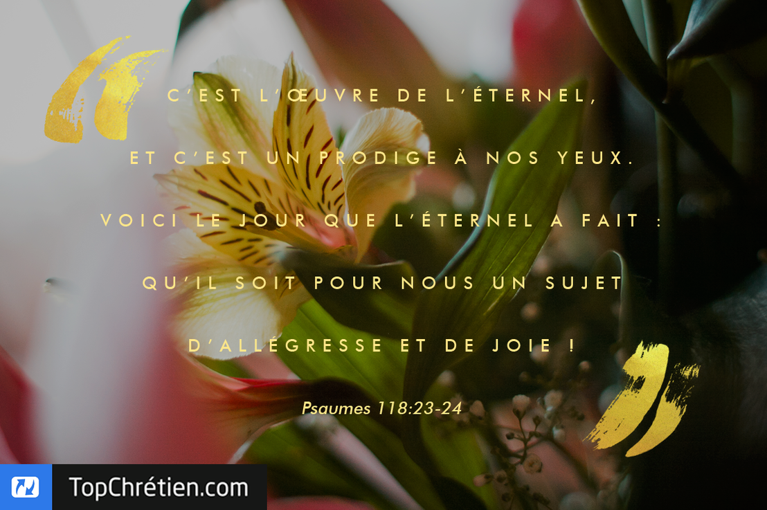 Joie