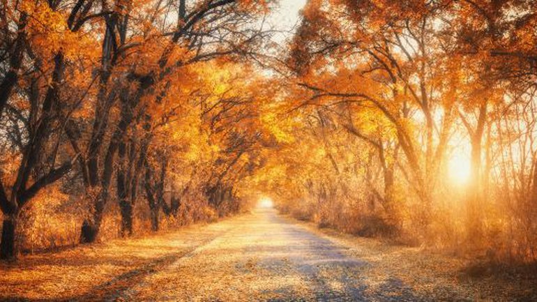 L’automne est nécessaire