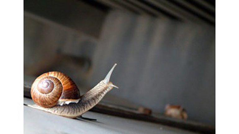 La prière d'intercession