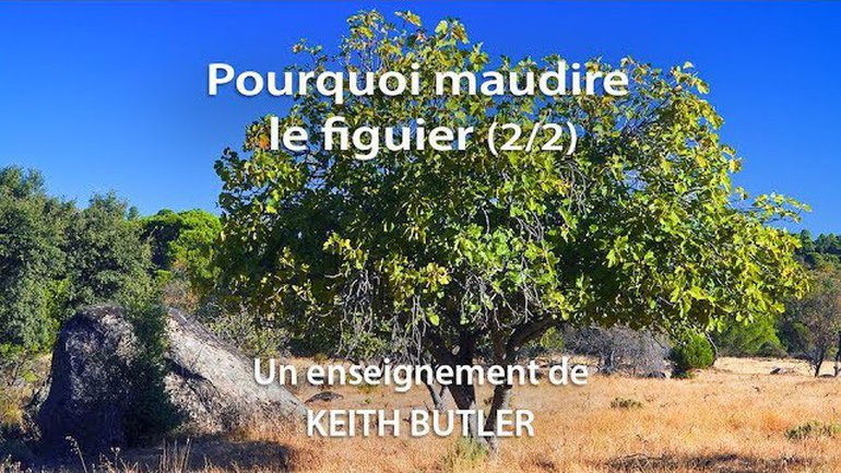 Pourquoi maudire le figuier ? 2/2