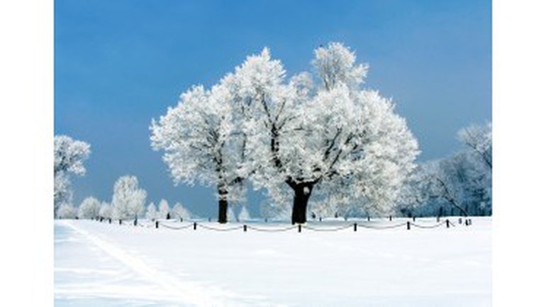 La neige