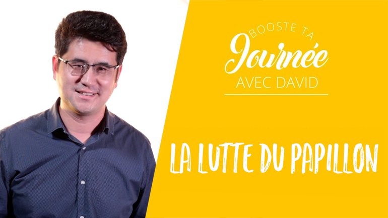 La lutte du papillon