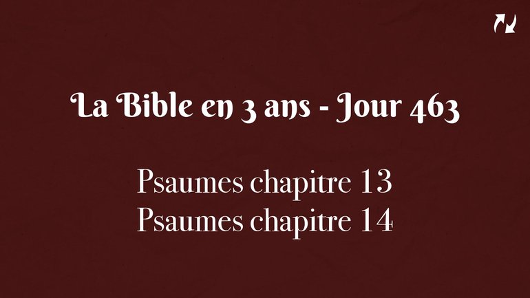 La Bible en 3 ans - Jour 463