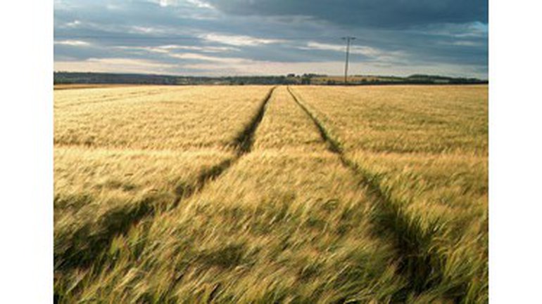 Car Dieu a toujours un plan