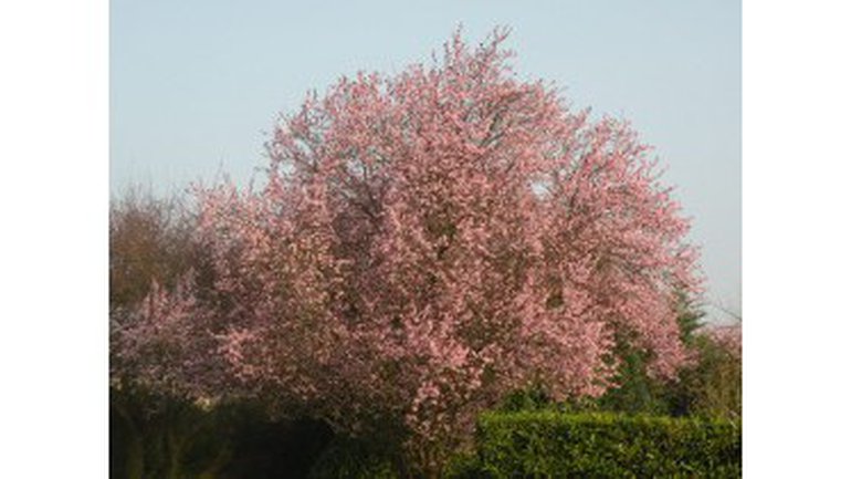 Quelles Prières Faites-Vous?