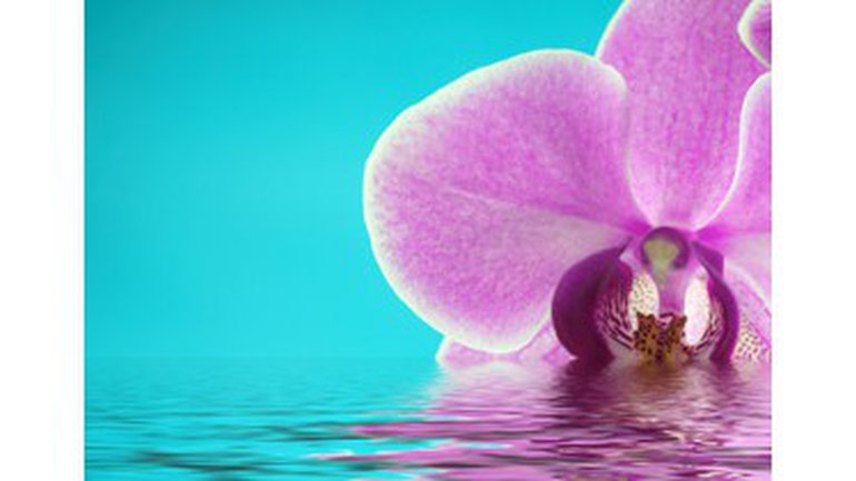 Le lieu saint : le seul chemin vers ma sainteté !