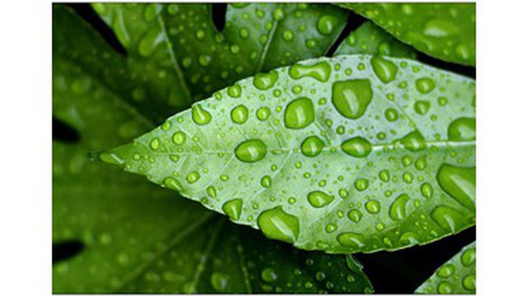 Renouveler l’onction dans nos vies