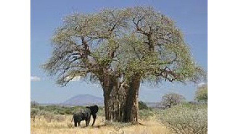 Soyons forts et puissants en Christ !