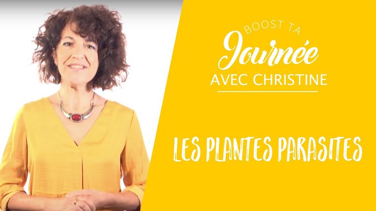 Les plantes parasites