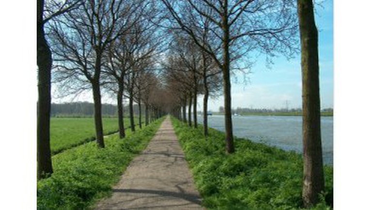 Avez-vous besoin d'une direction ?