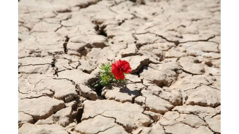 Les bienfaits de nos afflictions