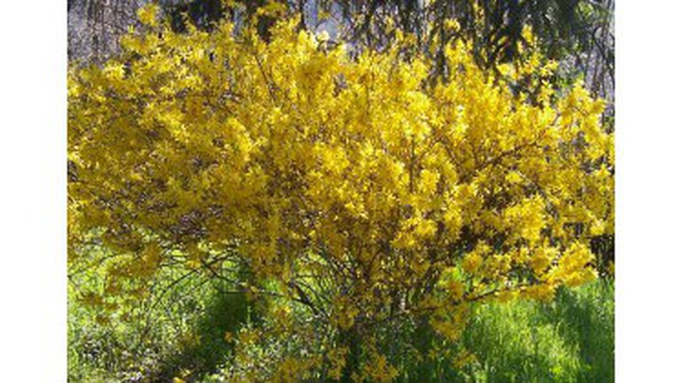 Le printemps arrive !