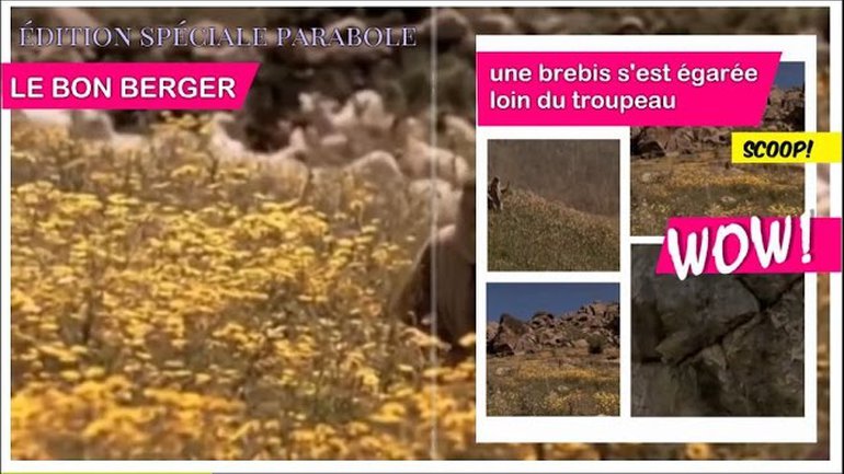 Parabole - Si un homme a 100 brebis..