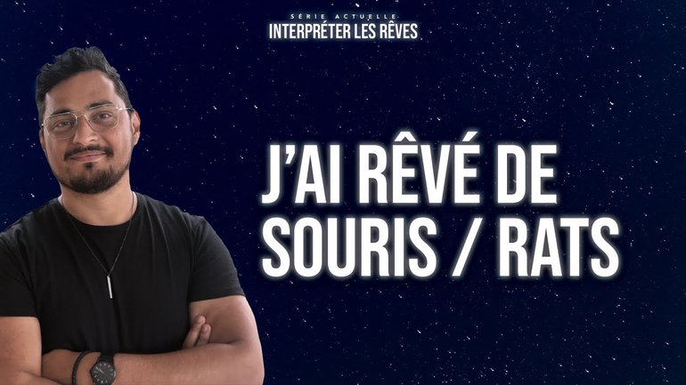 J'ai rêvé de souris / rats